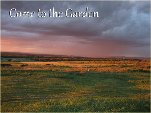 Come to the Garden - freedom song, freedom anthem, freedom hymn