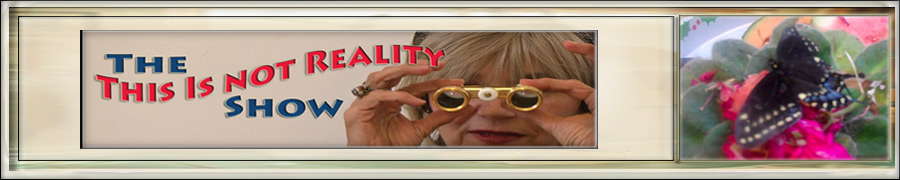 The This Is Not Reality Show
